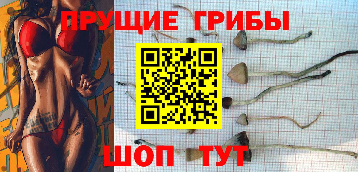 Галлюциногенные грибы мухоморы  Галлюциногенные грибы ЛСД  Гурьевск  Вход с VPN 