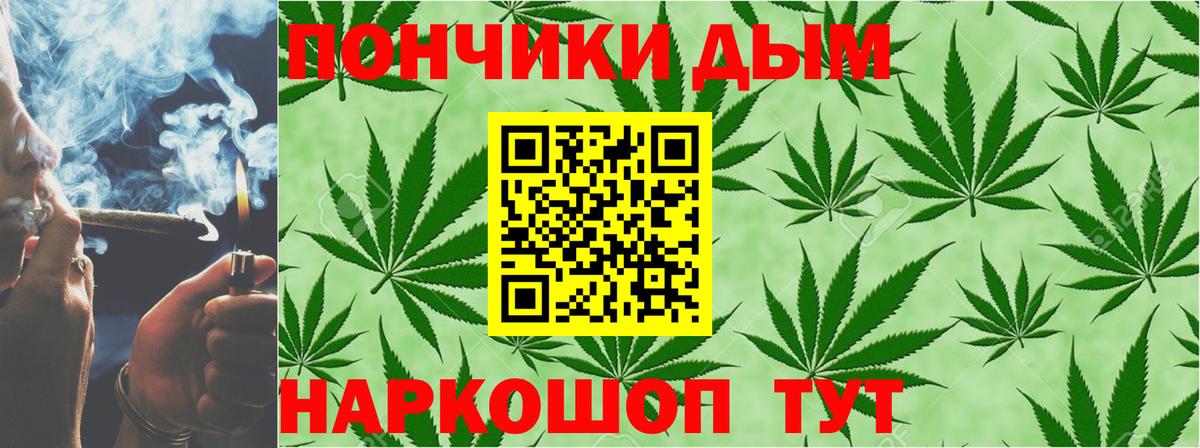 Конопля OG Kush Гурьевск